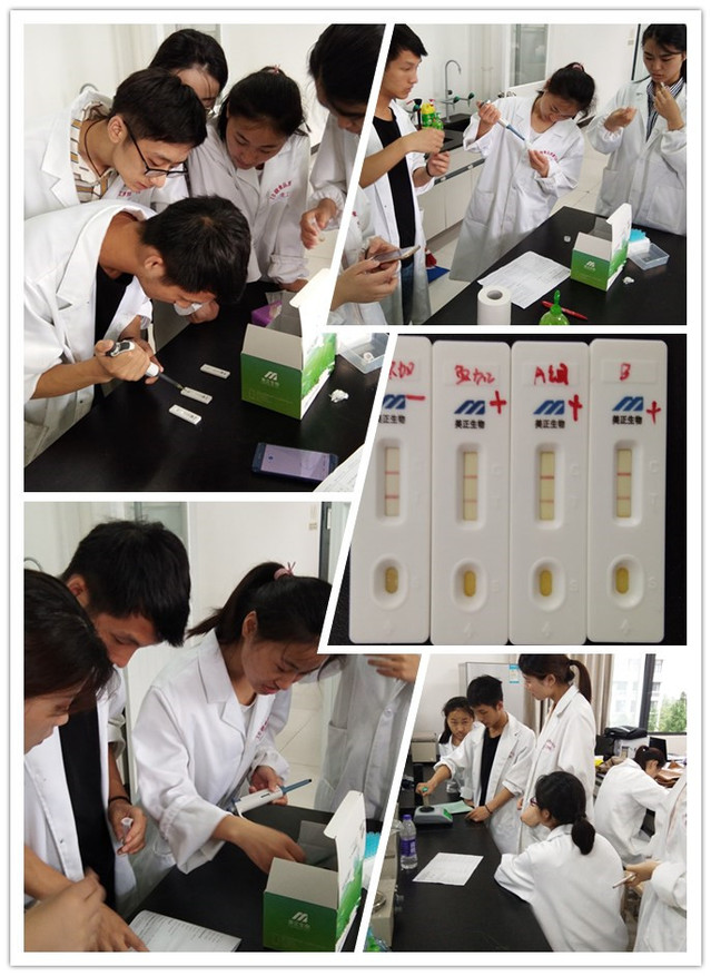 食品学院:校企联合开展课程实训